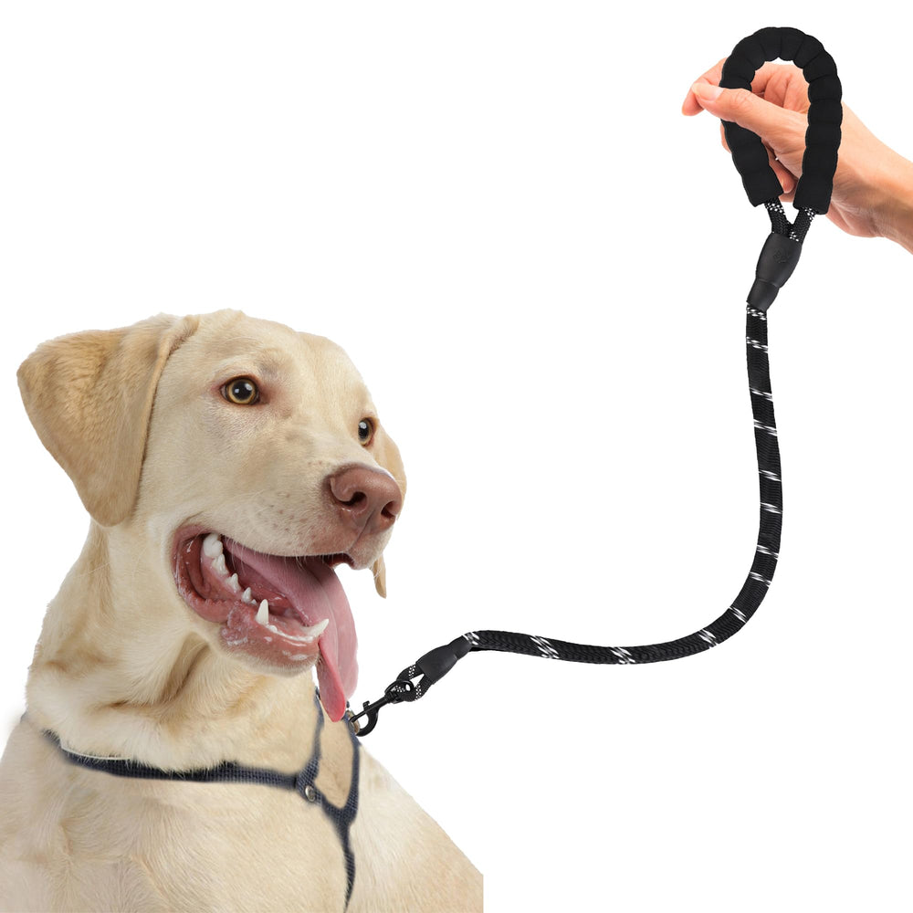 SunGrow padded-handle leash shows comfortable grip for long, comfortable strolls.