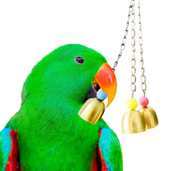 SunGrow parrot bell toy jingle sound closeup demonstrates pleasant audio entertainment for pets