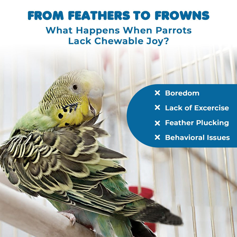 SunGrow parrot swing bundle fruit forks keep treats accessible during play.