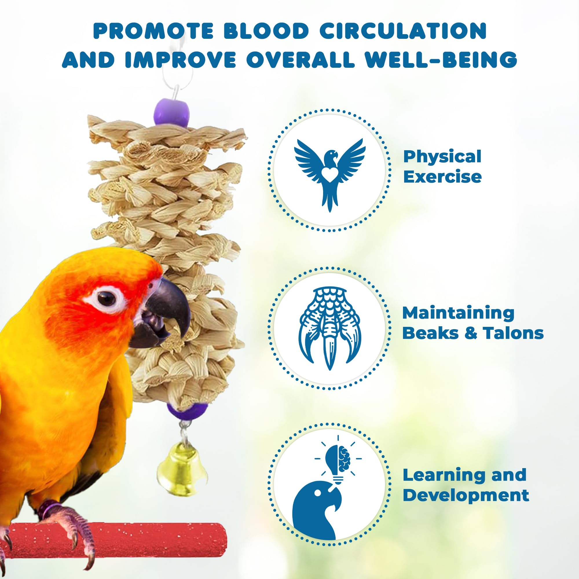 SunGrow parrot swing bundle rainbow bridge adds balance and leg-strength training.