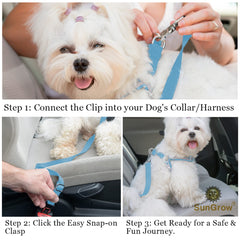 SunGrow pet harness clip in-car with seatbelt for safety