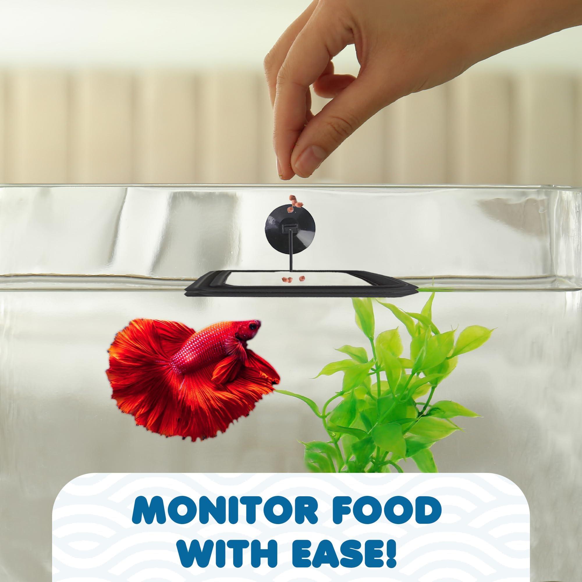 SunGrow picky-eaters-separate-feed demonstrates feeding flakes and pellets separately in a shared tank.