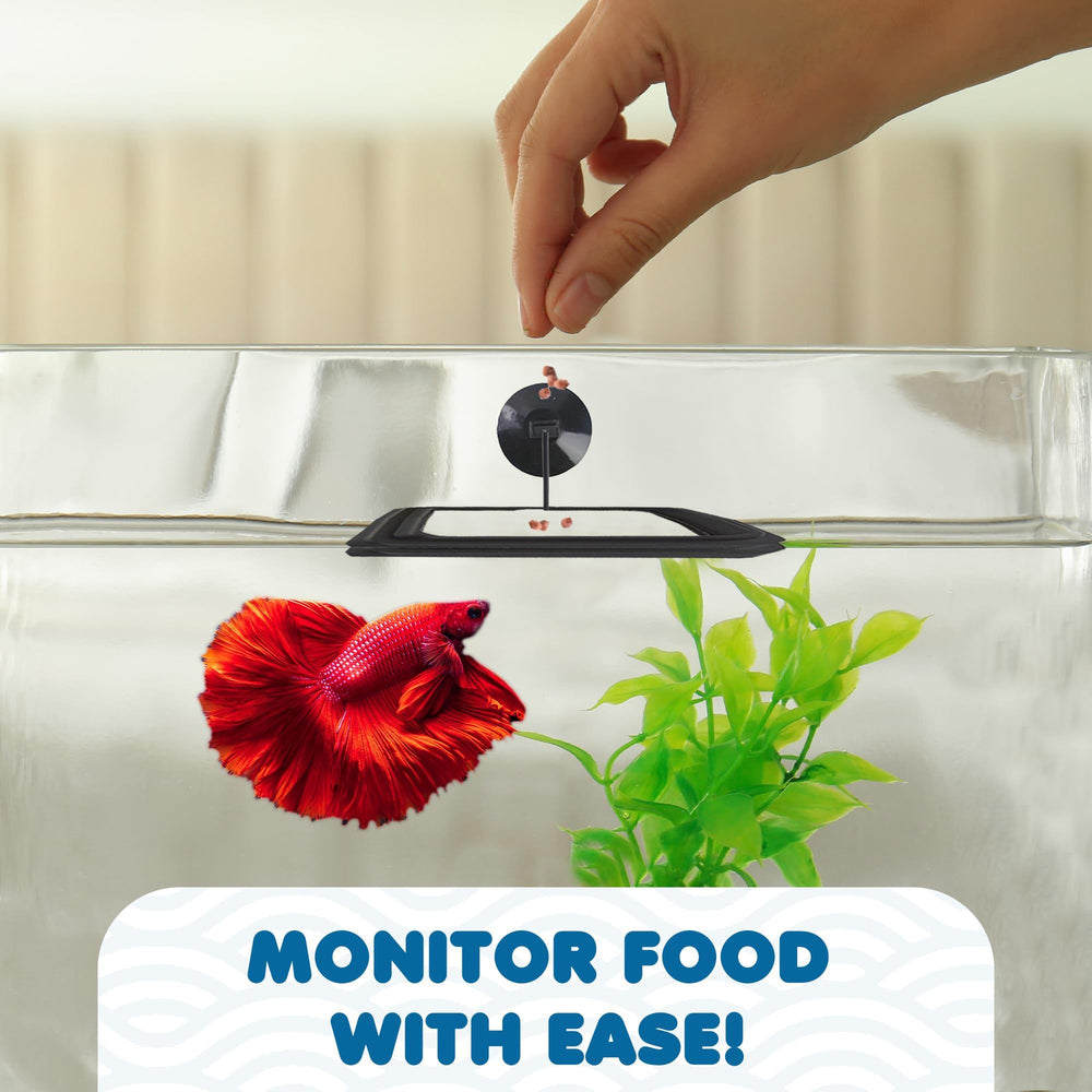 SunGrow picky-eaters-separate-feed demonstrates feeding flakes and pellets separately in a shared tank.