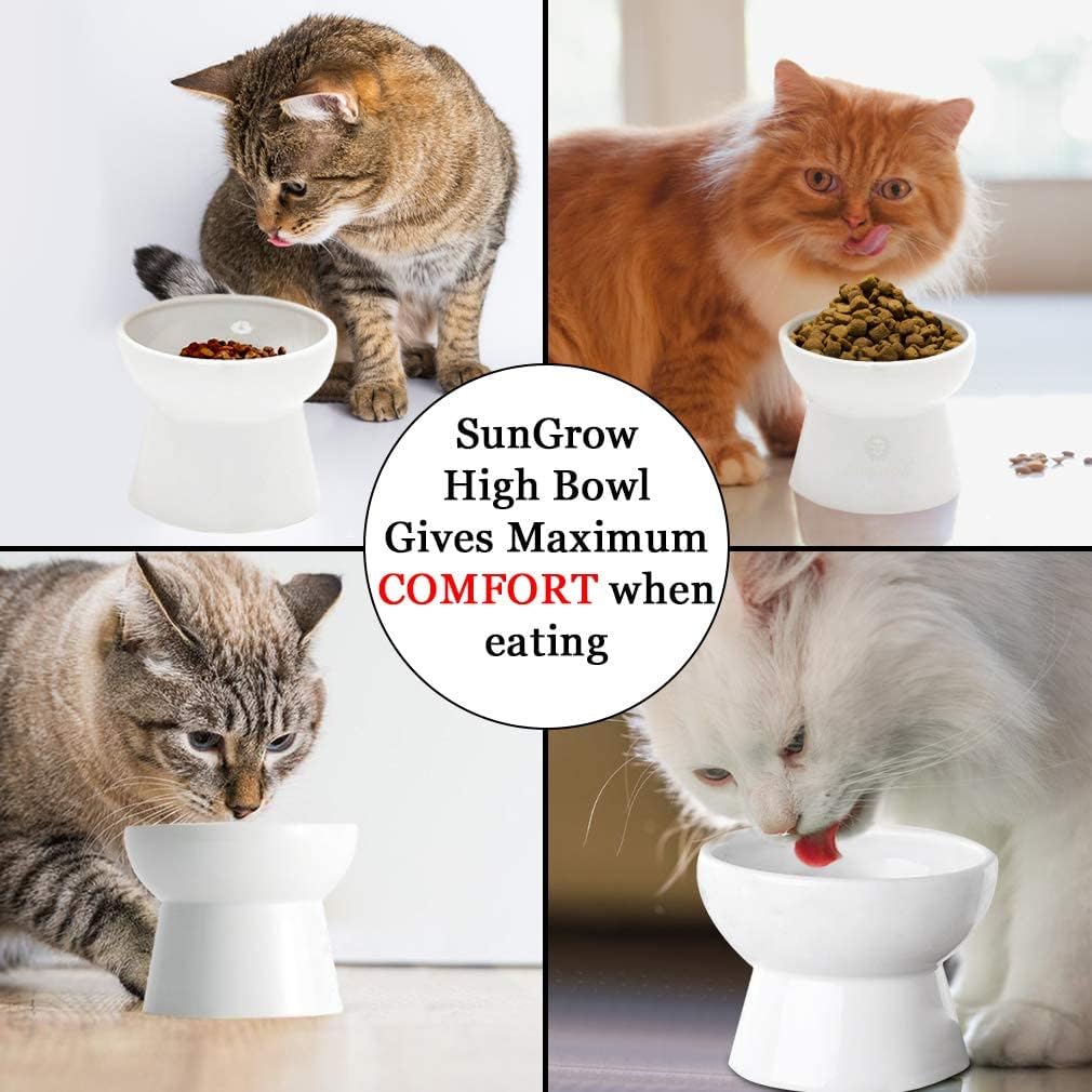 SunGrow plain white stoneware bowl demonstrates durable, easy-clean design.