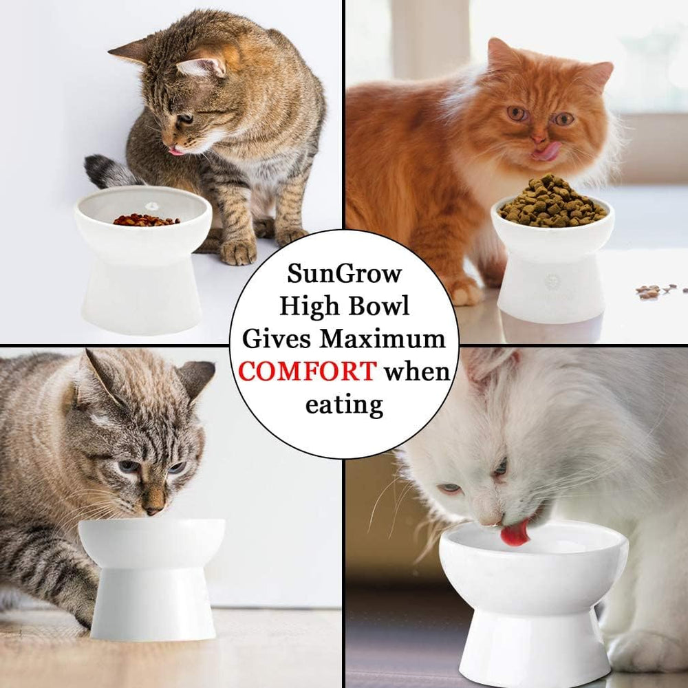 SunGrow plain white stoneware bowl demonstrates durable, easy-clean design.