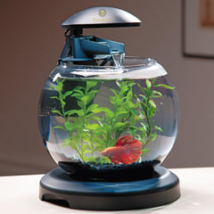 SunGrow plastic plant set top view highlighting sectional design for easy tank fitting.
