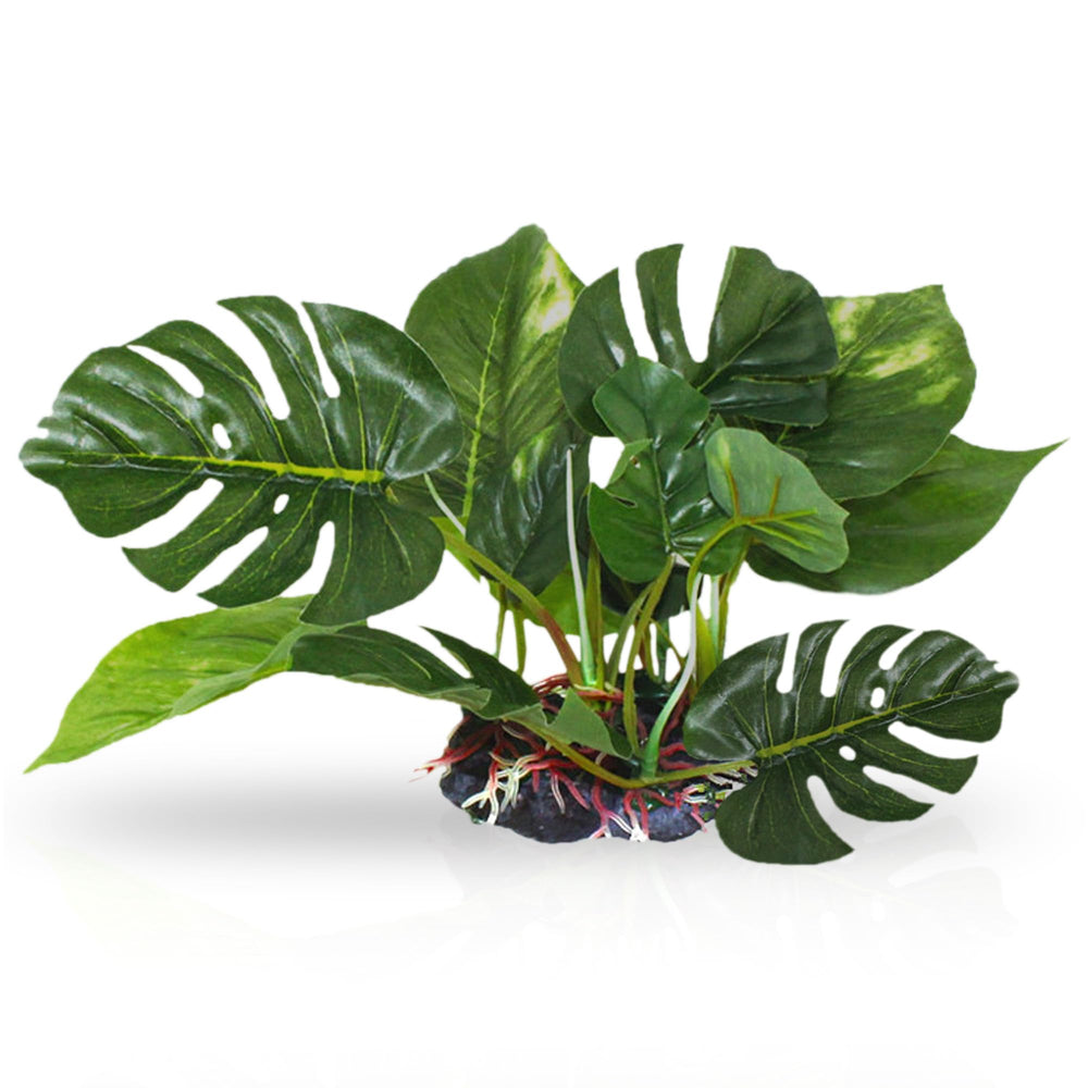 SunGrow plastic leaves plant for betta tanks providing safe hiding spots.