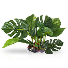 SunGrow plastic leaves plant for betta tanks providing safe hiding spots.