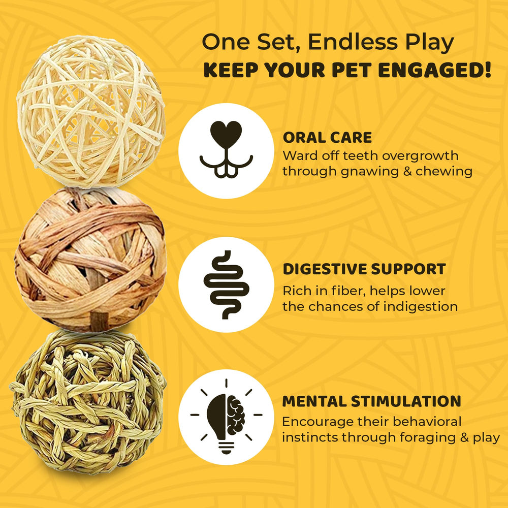 SunGrow rabbit chew ball in action promoting foraging and stimulation