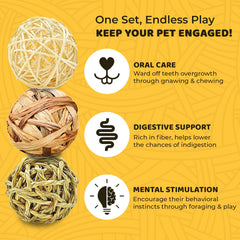 SunGrow rabbit chew ball in action promoting foraging and stimulation