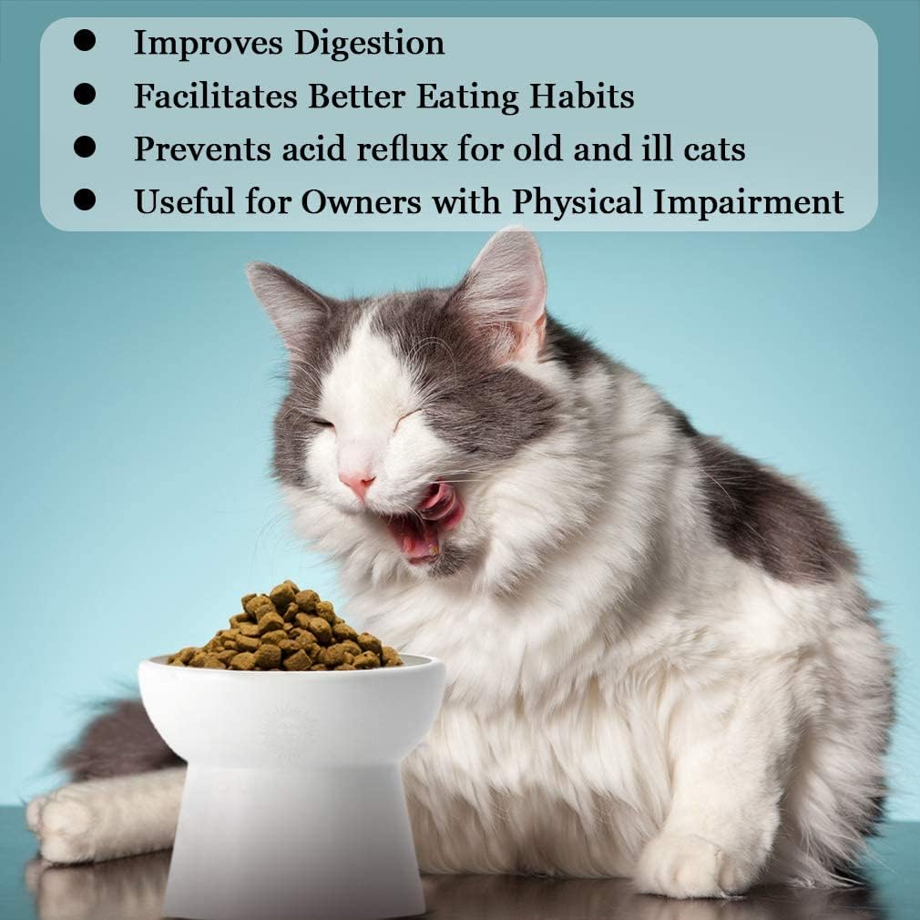 SunGrow raised cat bowl supports comfortable posture during meals.