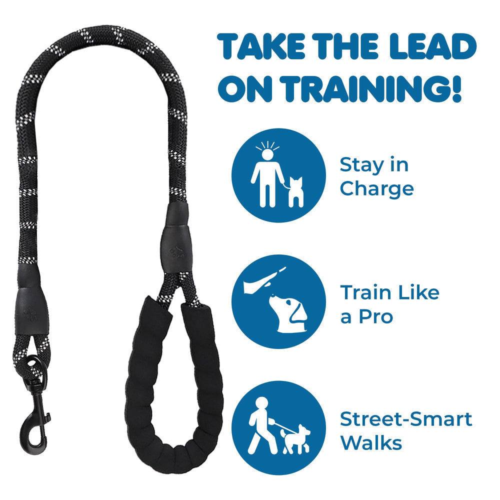 SunGrow reflective-threading leash increases visibility for safer dusk or dawn walks.