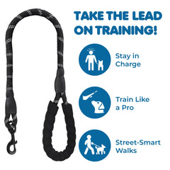 SunGrow reflective-threading leash increases visibility for safer dusk or dawn walks.
