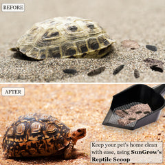 SunGrow Reptile Litter Scoop five-inch surface clears waste efficiently