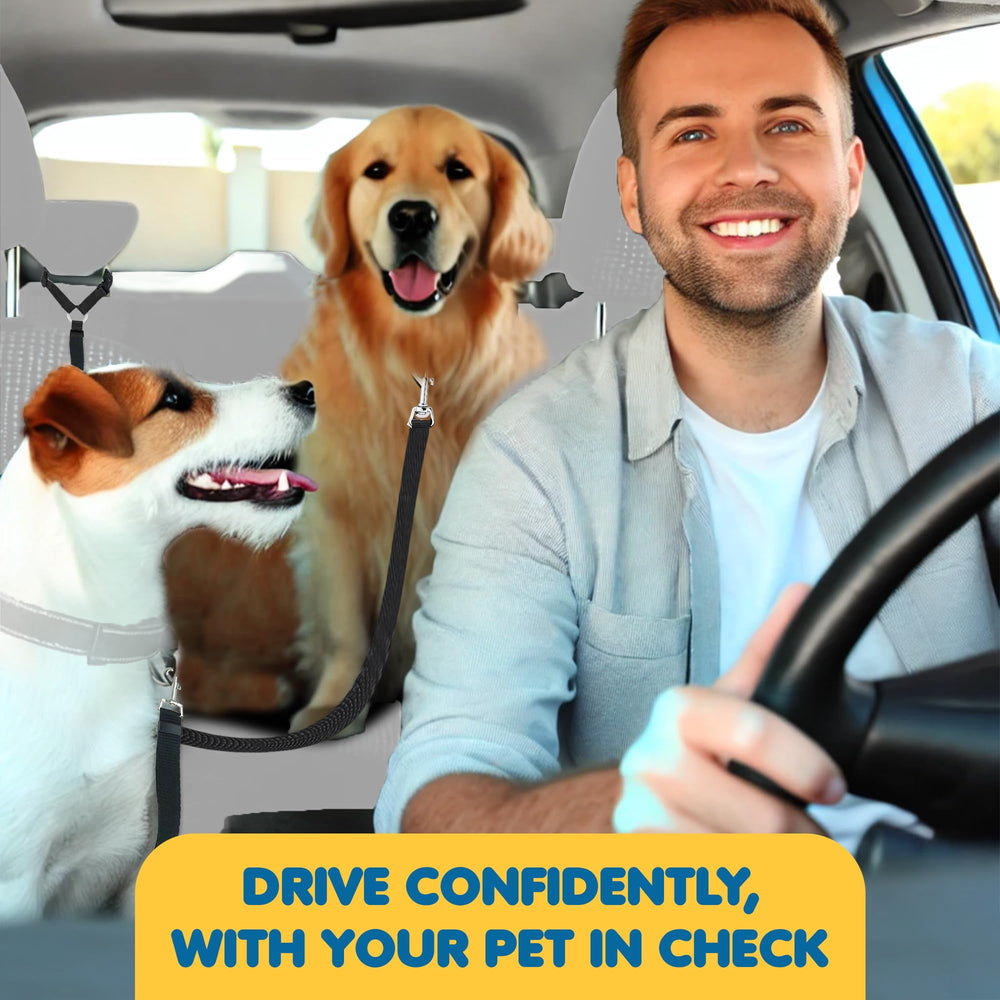 SunGrow seatbelt in-car setup clipping into car belt slot