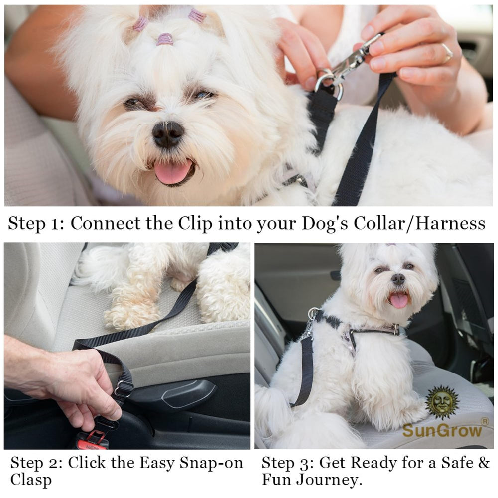 SunGrow secure clip shown securing pet with minimal effort.