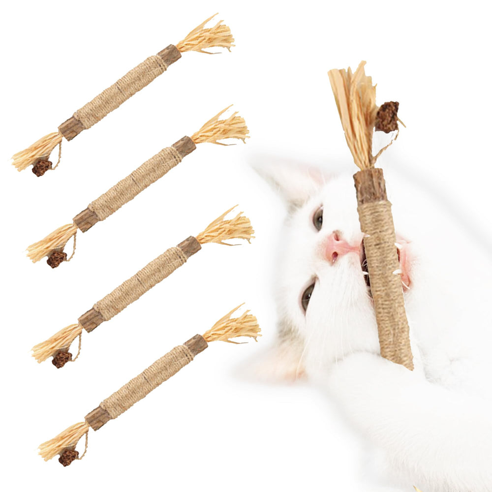 SunGrow Silvervine sticks gall fruit closeup emphasizes natural chew and flavor.