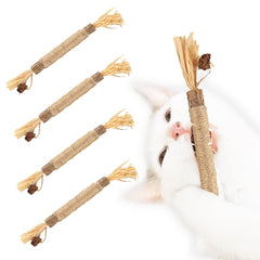 SunGrow Silvervine sticks gall fruit closeup emphasizes natural chew and flavor.