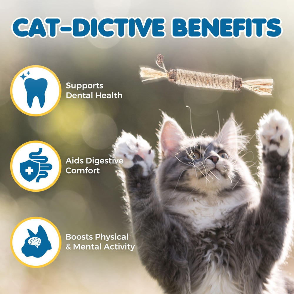 SunGrow Silvervine sticks with bell show playful, alert-friendly chewing option.