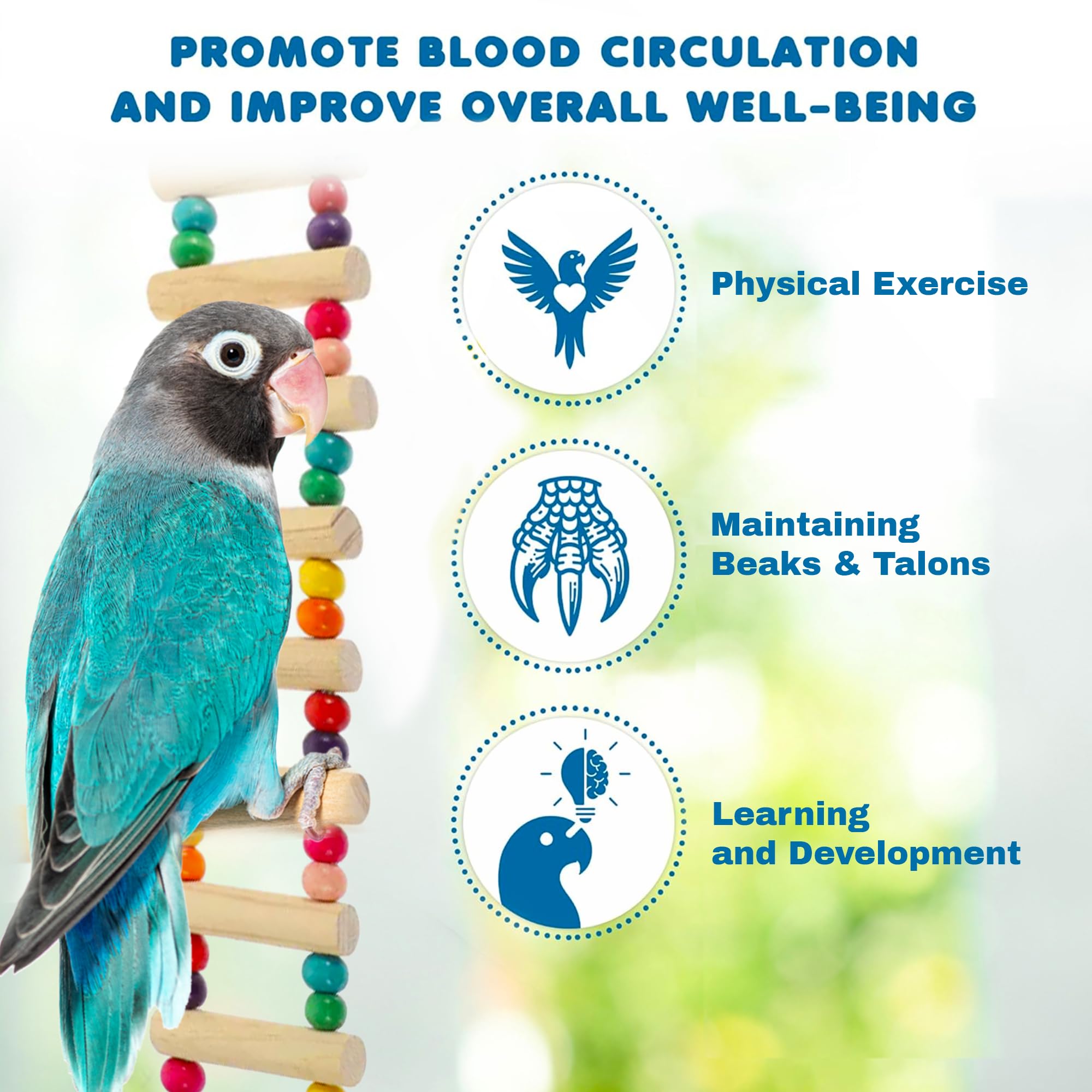 SunGrow ladder used by small to medium birds to improve balance during play