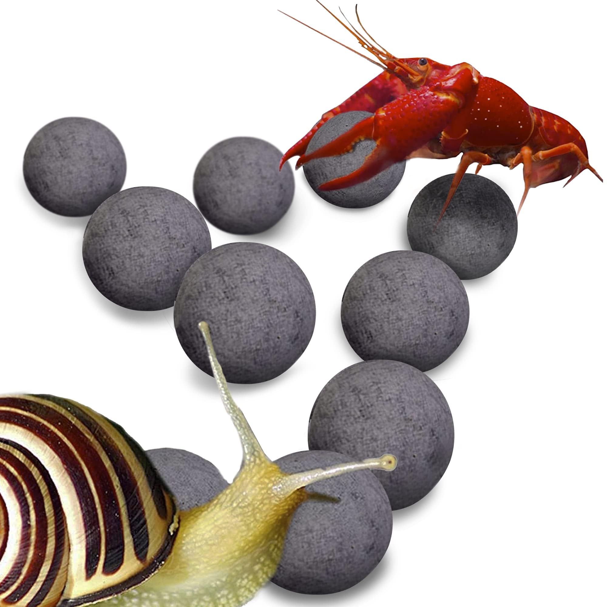 Sungrow snail-crayfish-energy-balls-tank-view illustrate activity boost and color enhancement in aquariums.