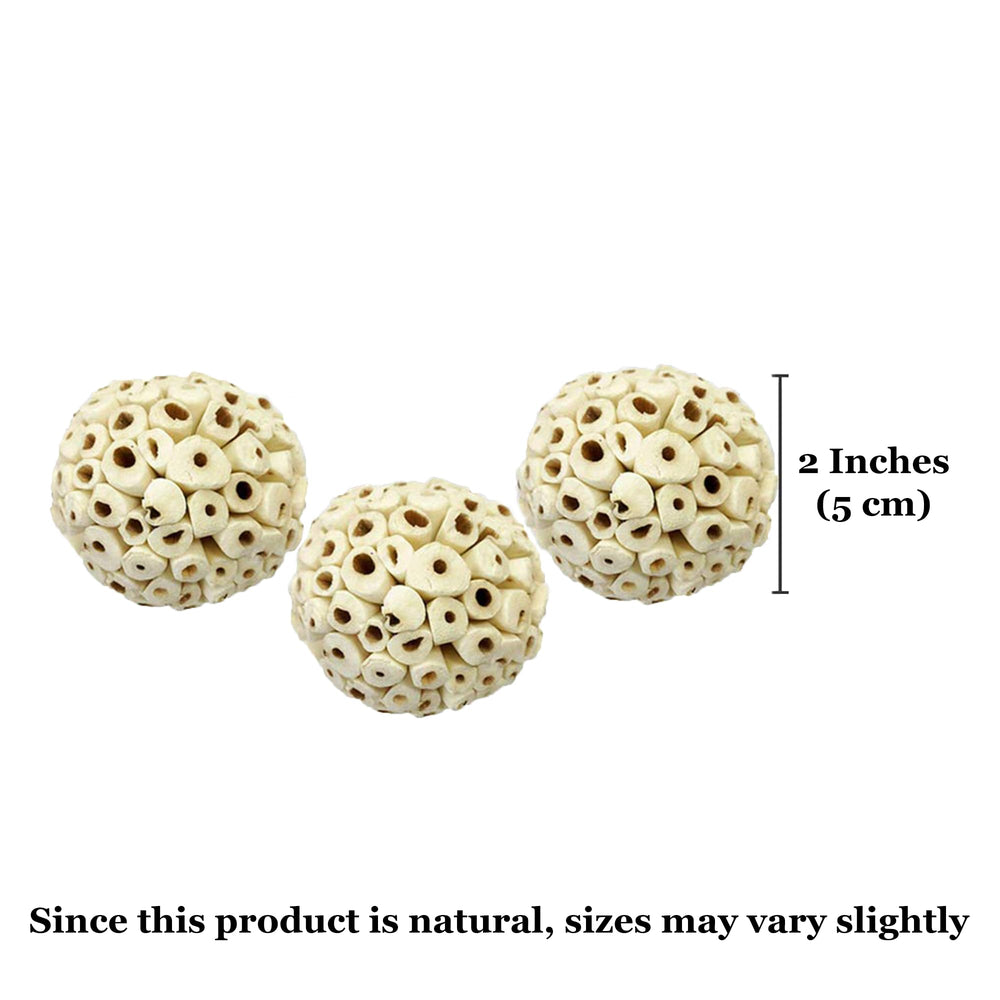 SunGrow Sola Atta Ball enrichment for small pets