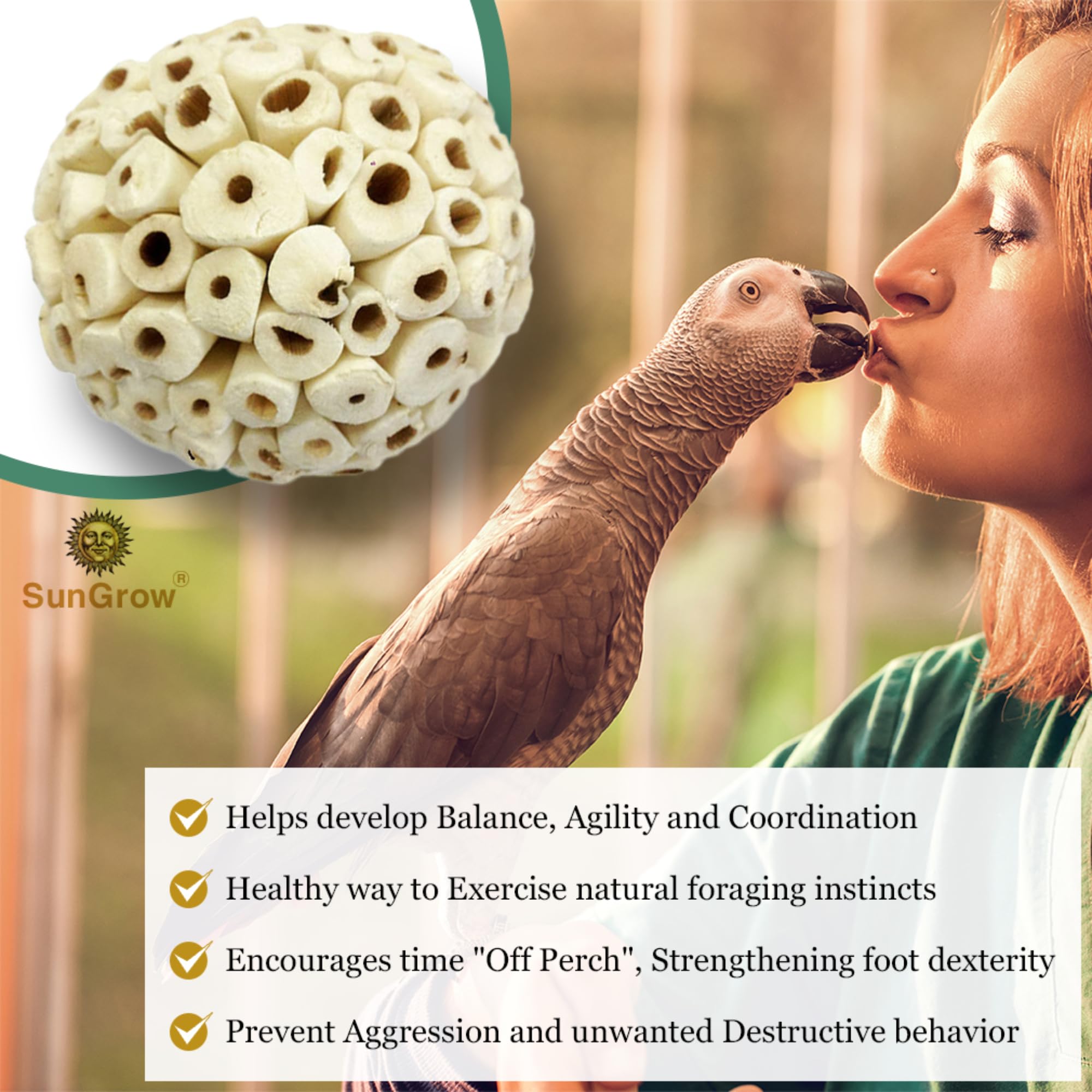 SunGrow Sola Atta Ball interior foraging view with seeds