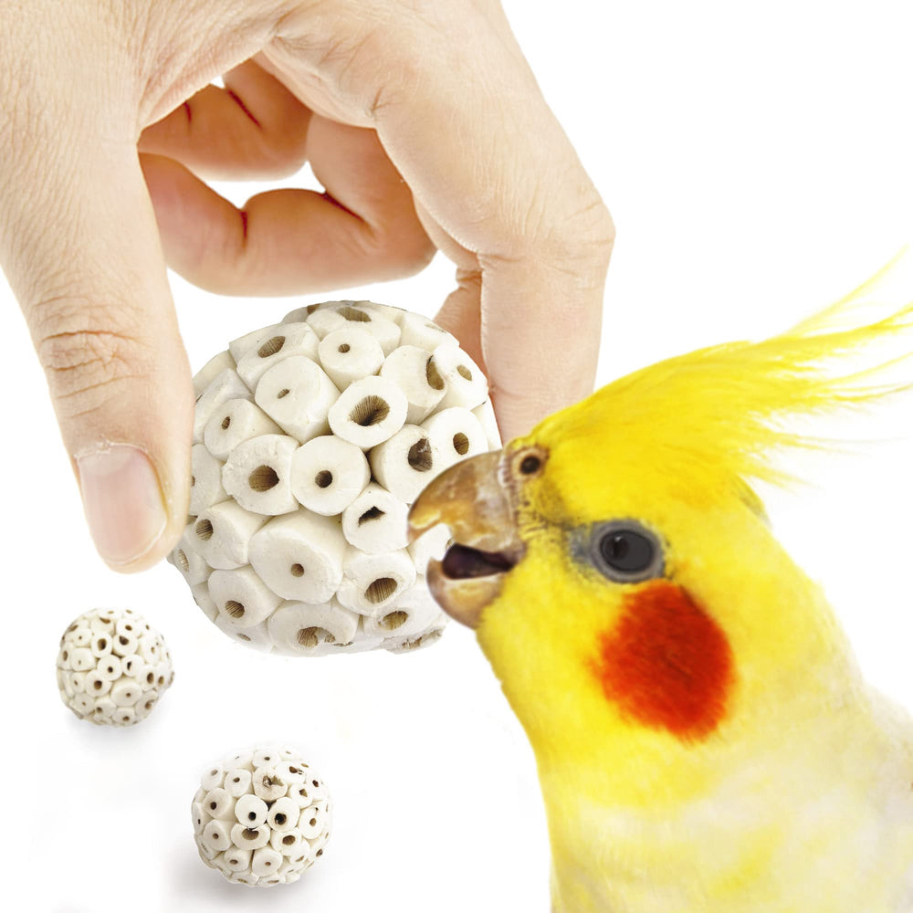 SunGrow Sola Atta Ball texture closeup shows soft chew material
