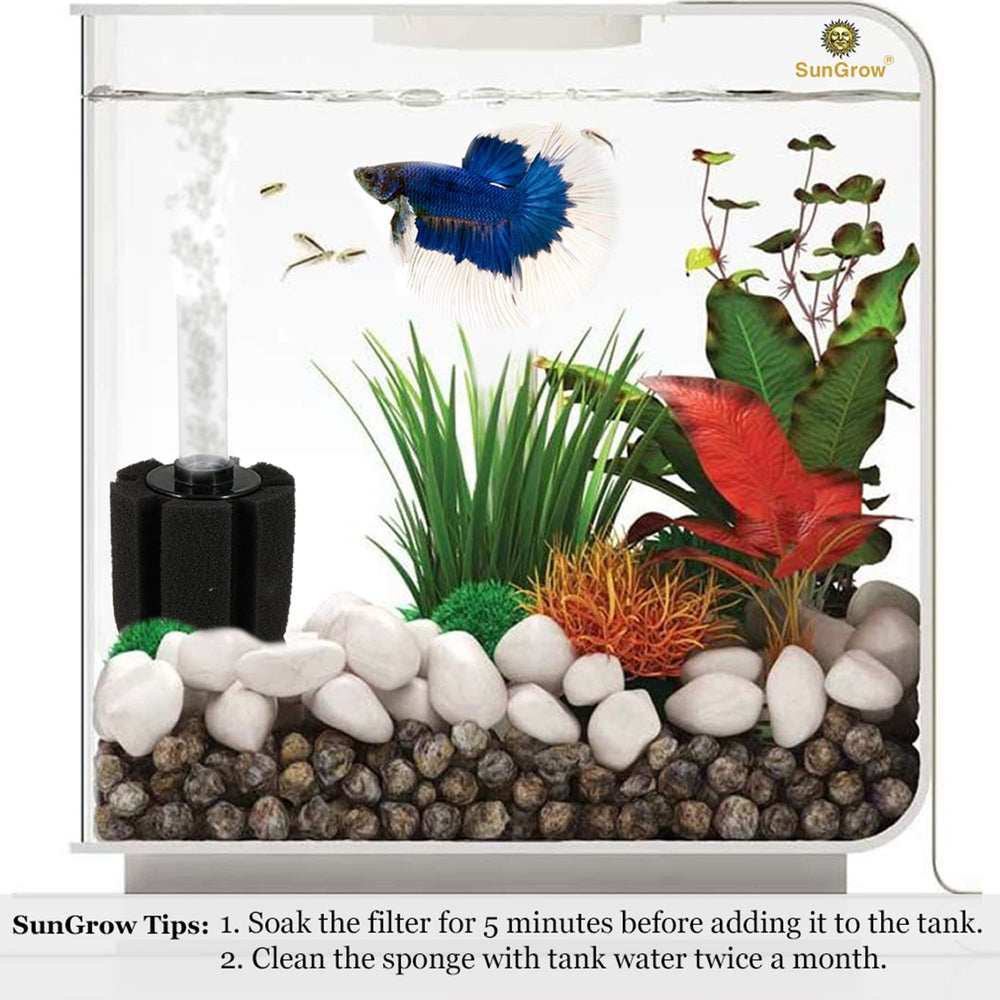 SunGrow Sponge Filter connected to air pump for setup visualization