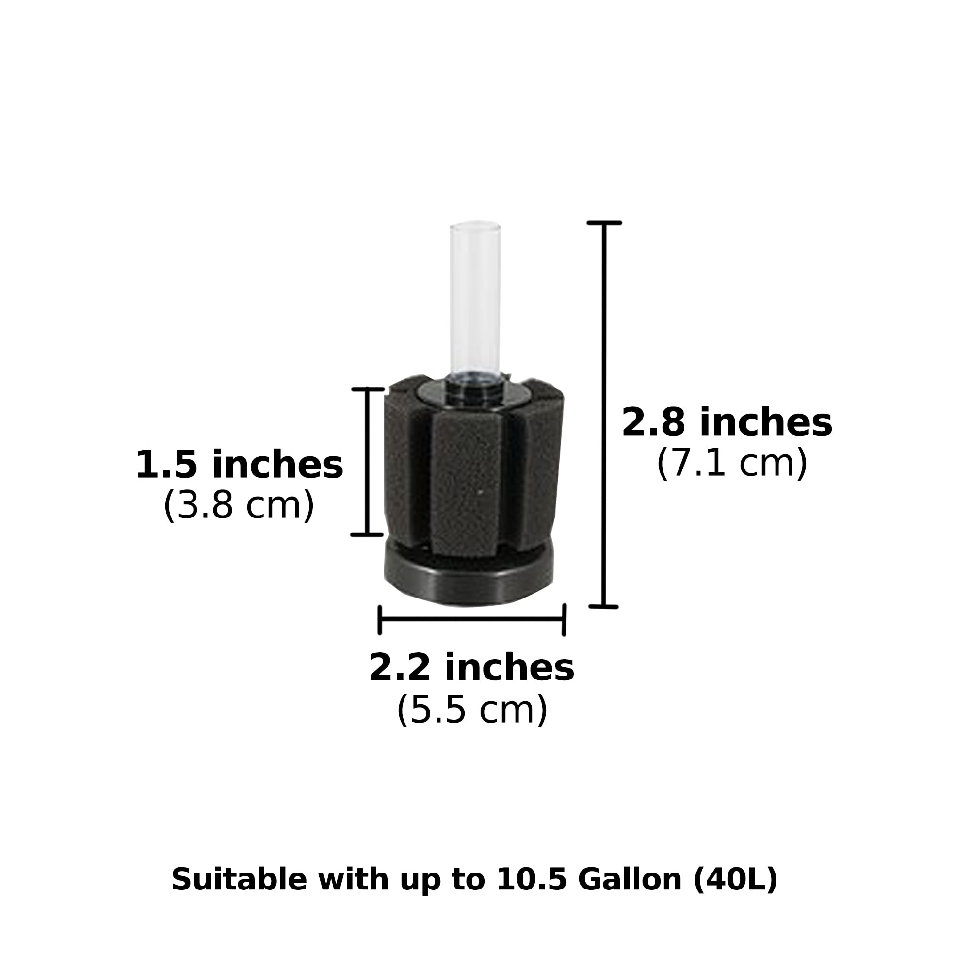 SunGrow Sponge Filter easy-clean reuse concept in tank