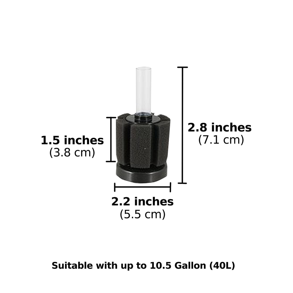 SunGrow Sponge Filter easy-clean reuse concept in tank