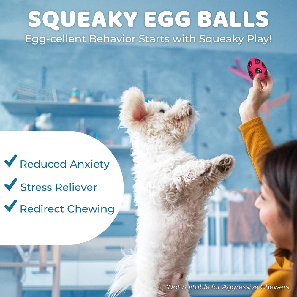 SunGrow Squeak Ball dog-in-play – ideal for interactive sessions indoors or outdoors.