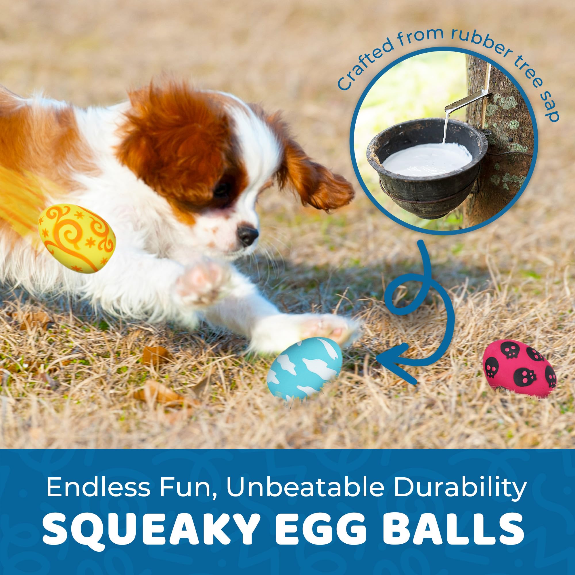 SunGrow Squeak Ball fetch-action – durable rubber for tossing and bouncing fun.