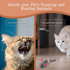 SunGrow Squeaky Plush Mice in action during hide and seek play