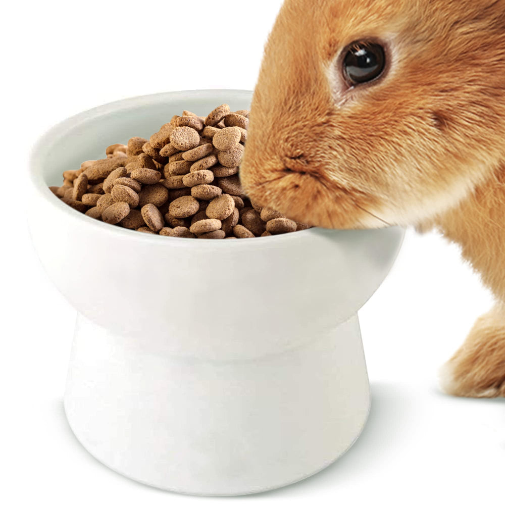 SunGrow stoneware feeding station detail showing durable material.