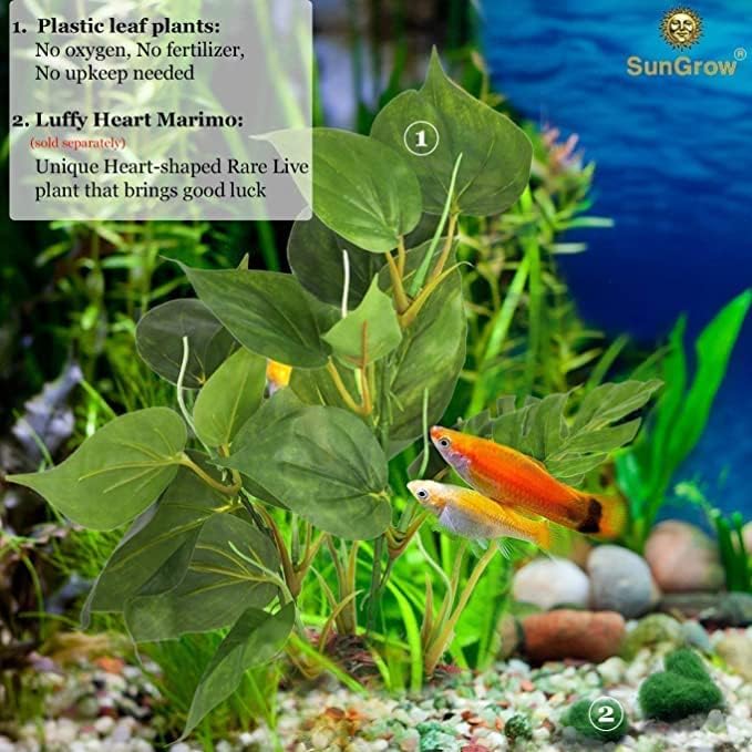 SunGrow versatile plant anchors on substrate for natural-looking decor.