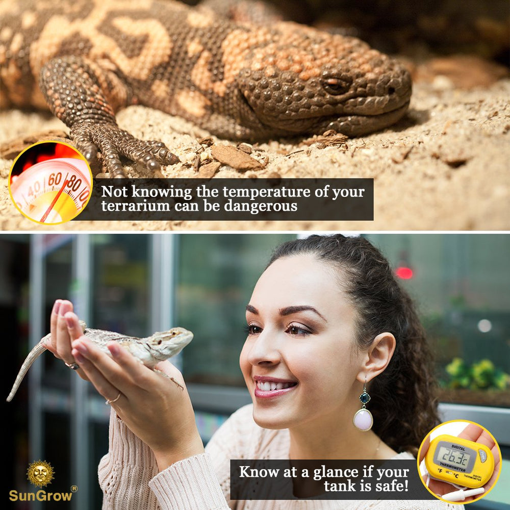 SunGrow suction cups secure thermometer without blocking the reptile’s view