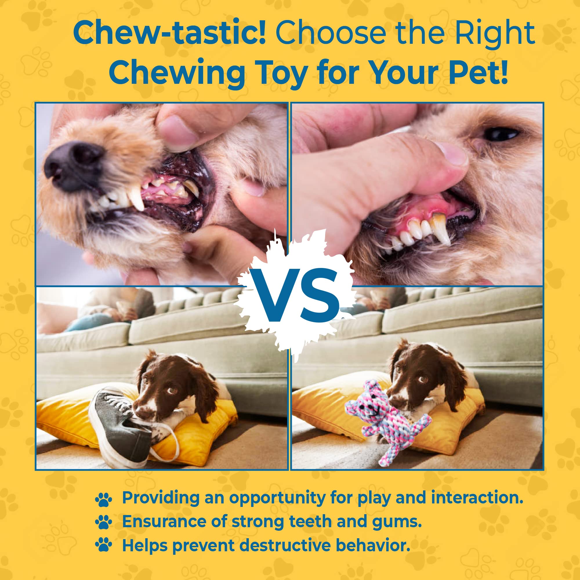 SunGrow Teddy Bear Puppy Teething Toy colorful design encourages entertaining play and focus.