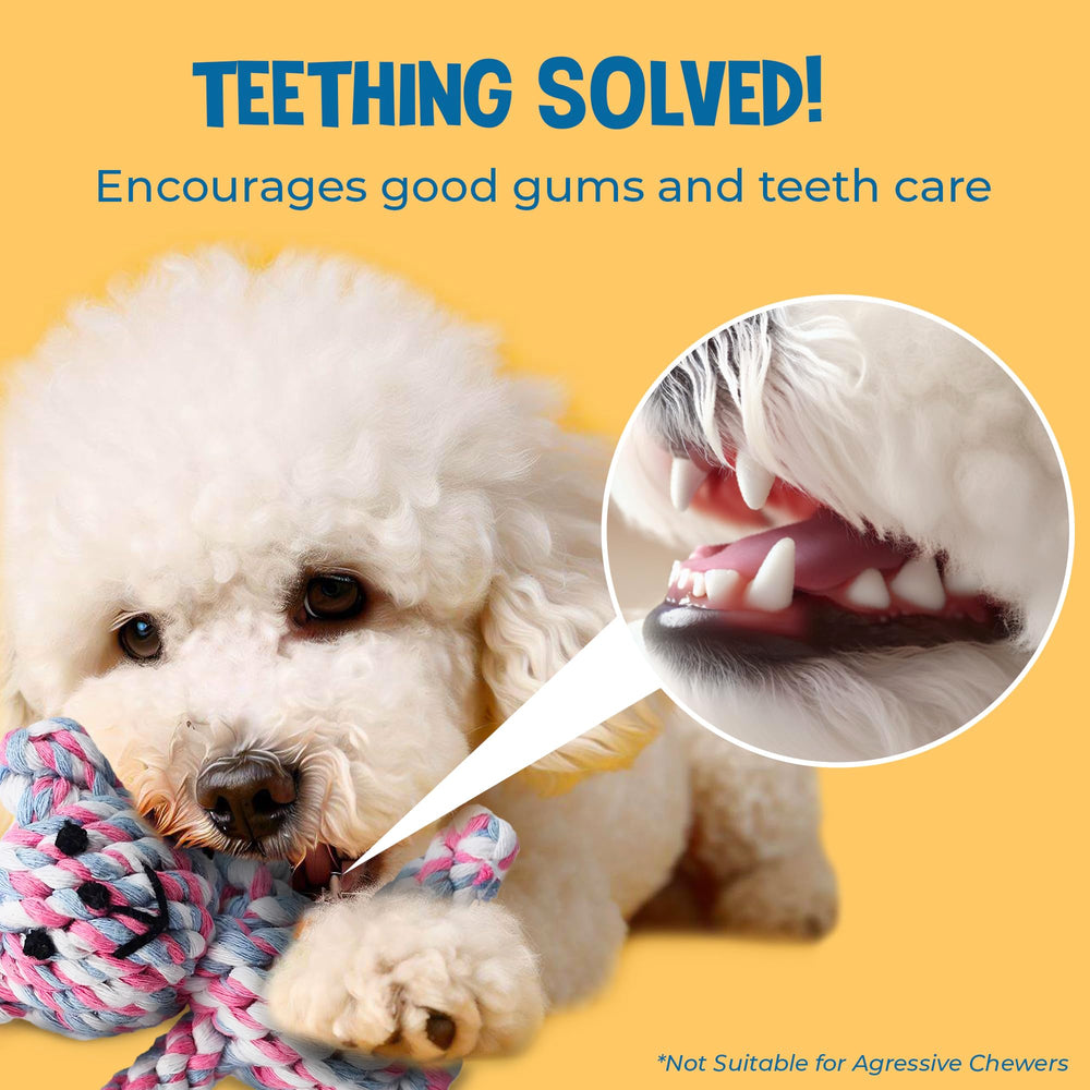 SunGrow Teddy Bear Puppy Teething Toy knot detail supports safe chewing and bite training.