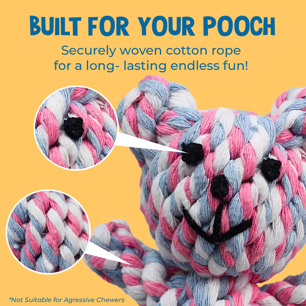 SunGrow Teddy Bear Puppy Teething Toy shown with small to medium dogs for active play.