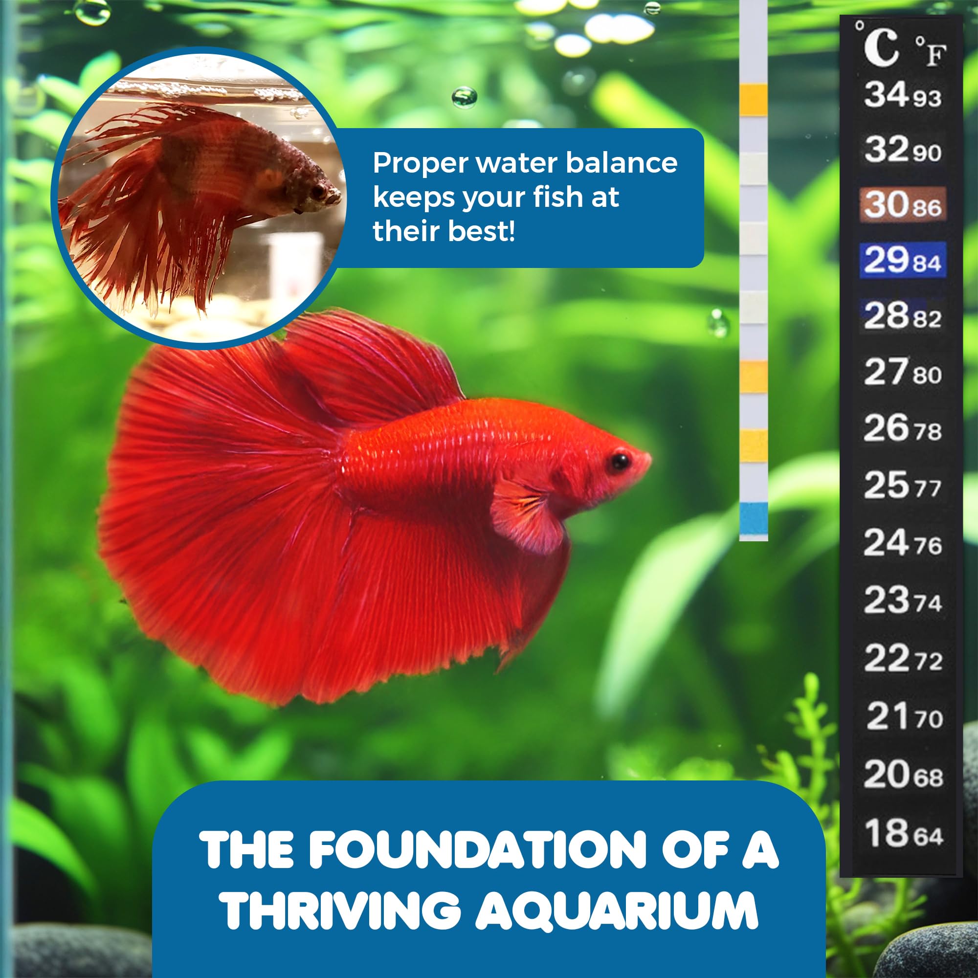 SunGrow test strips aligned with color chart for reliable readings