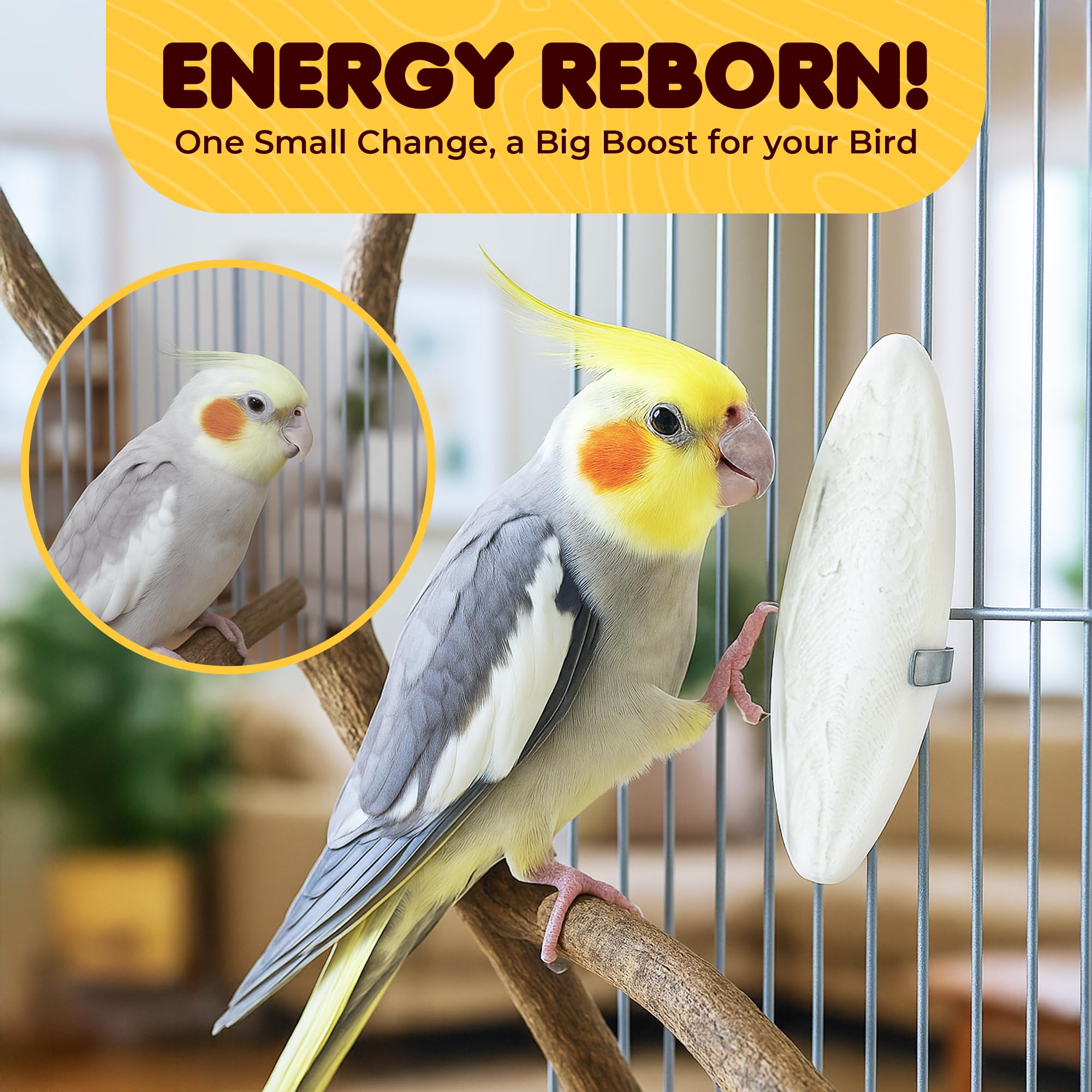 SunGrow sungrow three-piece pack simplifies calcium supplementation.