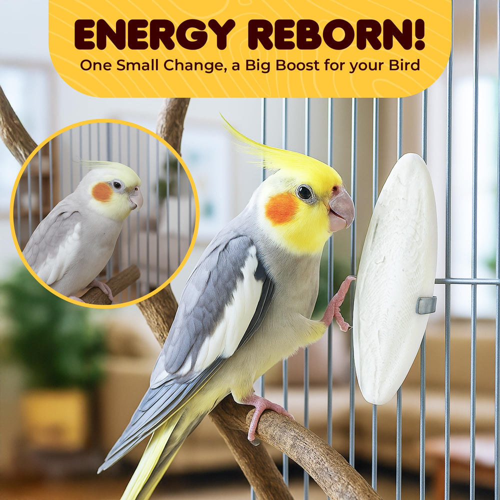 SunGrow sungrow three-piece pack simplifies calcium supplementation.