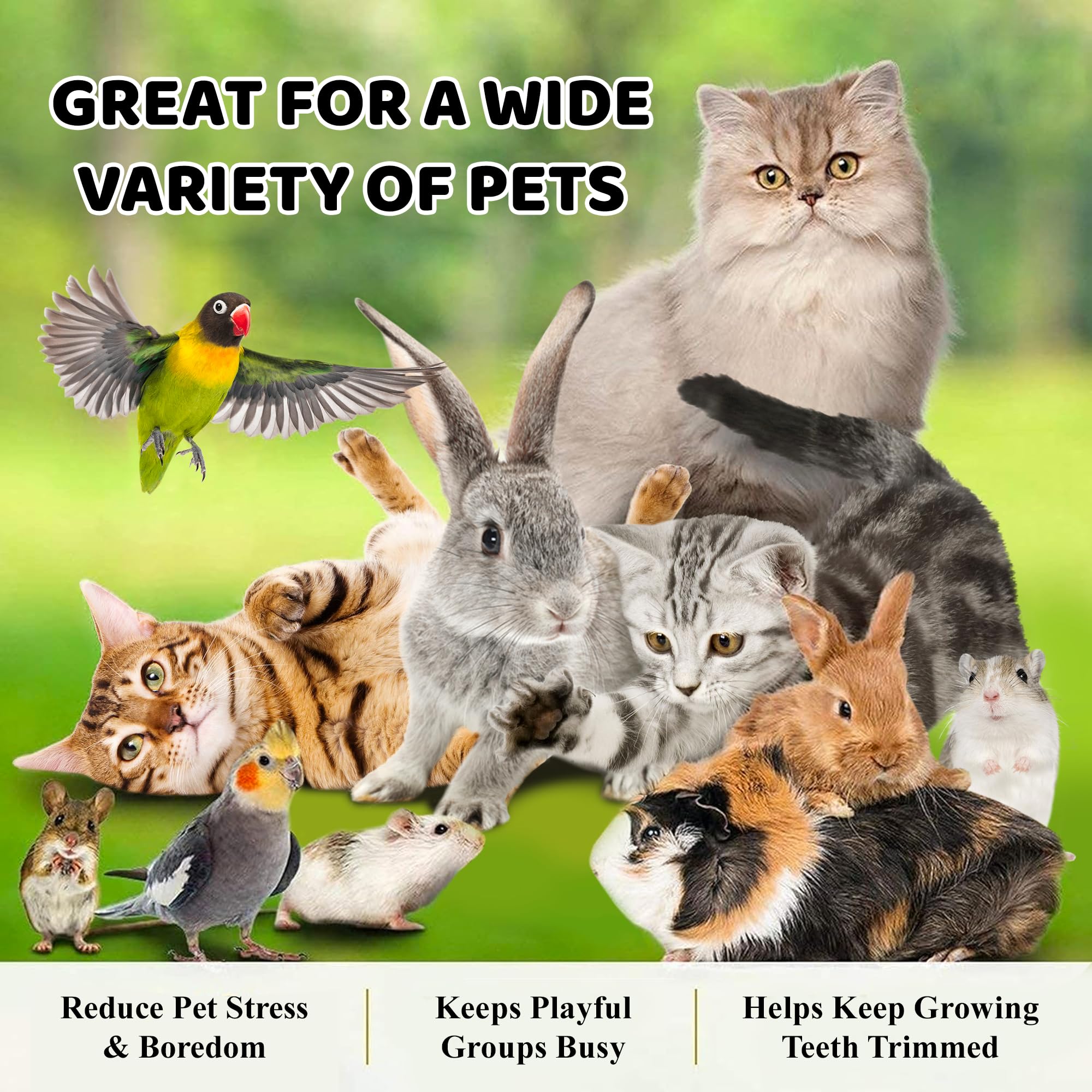 SunGrow three-piece set suits small to medium pocket pets