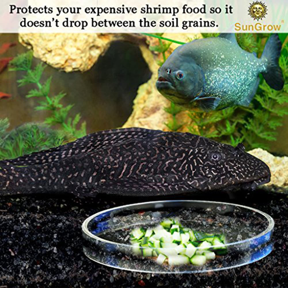 SunGrow glass dish is easy to clean after use.