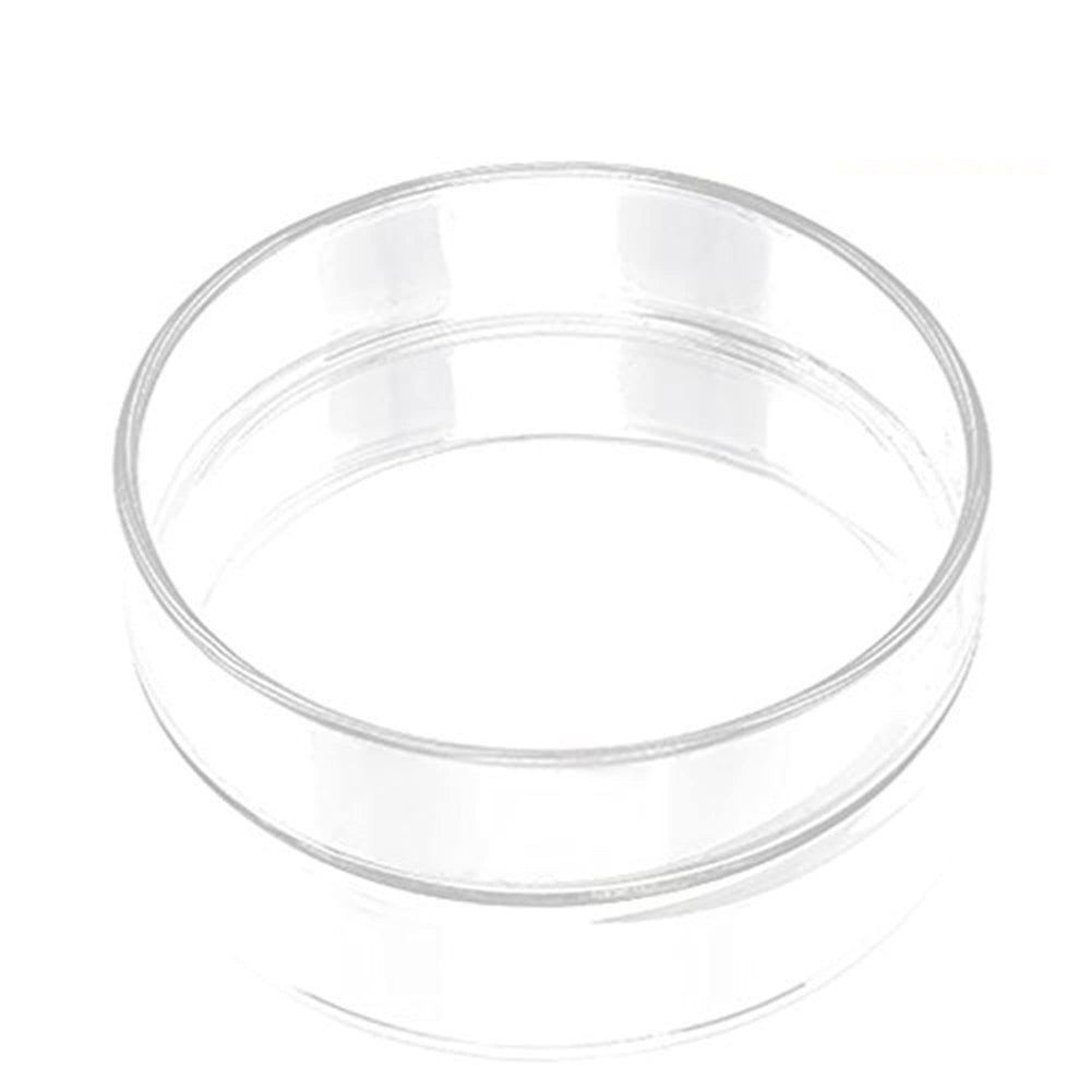 SunGrow glass shrimp dish filled with pellets enables easy food monitoring.