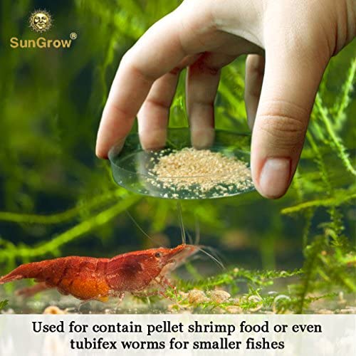 SunGrow glass dish in-tank demonstrates tidy habitat and visible food levels.