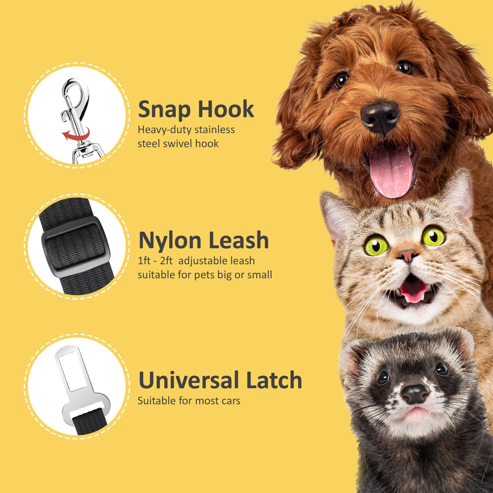 SunGrow two belts per pack illustrated for extra value and flexibility.