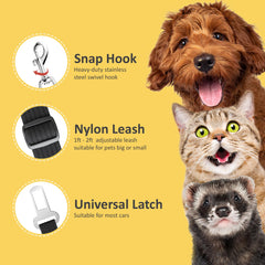SunGrow two belts per pack illustrated for extra value and flexibility.
