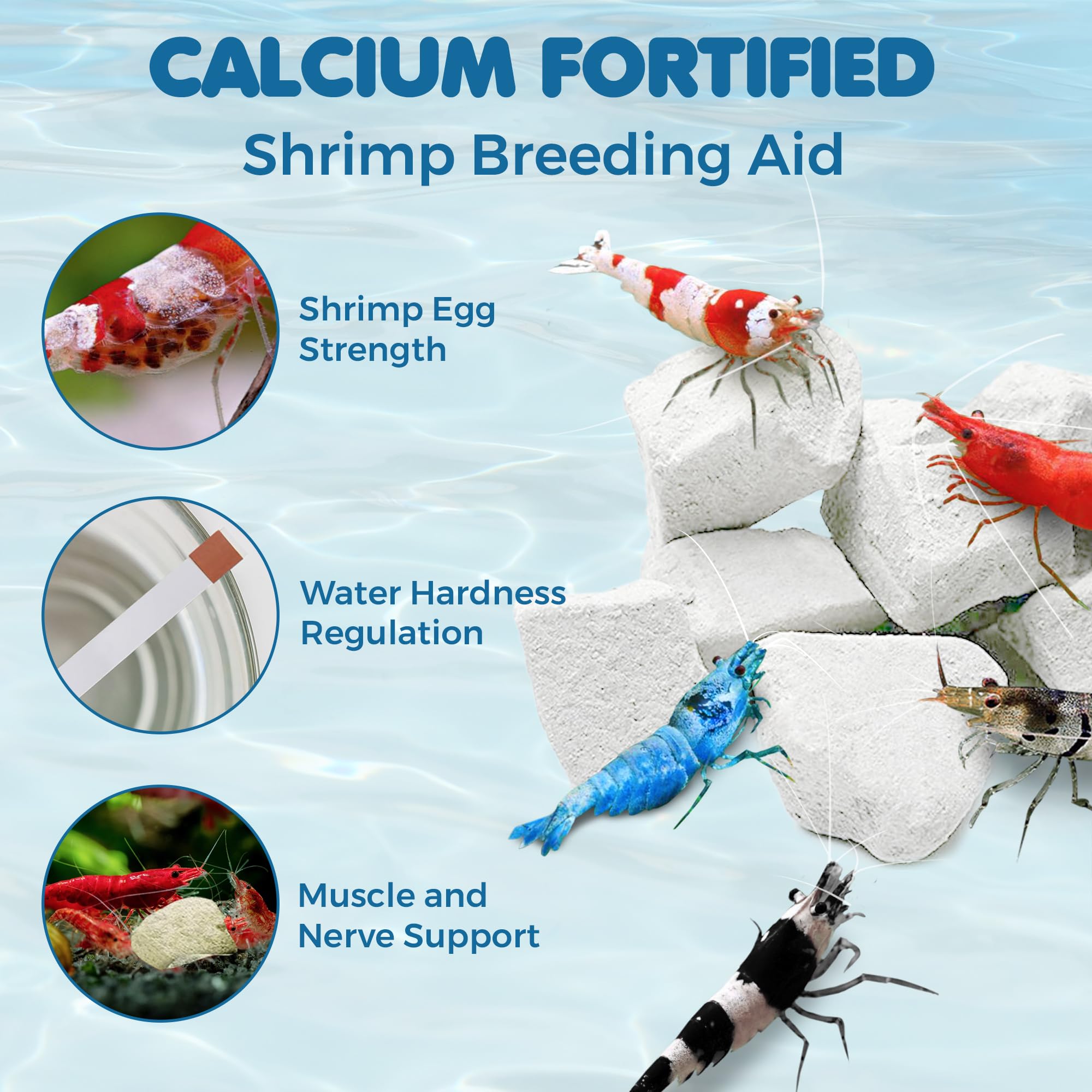 Sungrow white rocks in shrimp tank enhance vibrancy and longevity of aquatic life.